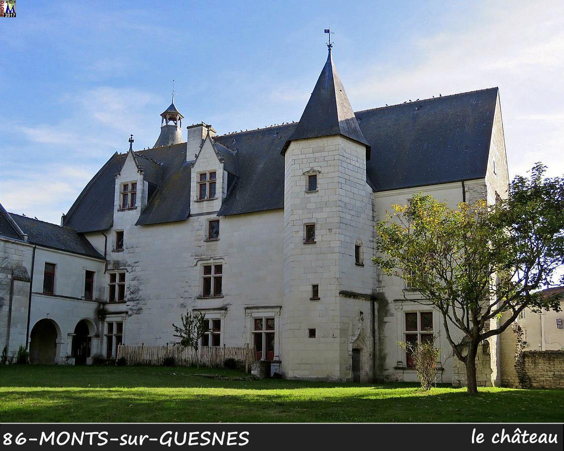 L'Olivier Villa Monts-sur-Guesnes Eksteriør billede